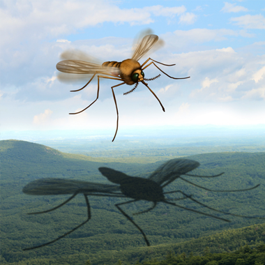 Всемирный день борьбы с малярией